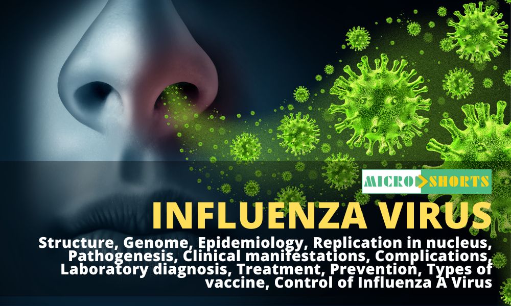 Influenza A Virus- An Overview