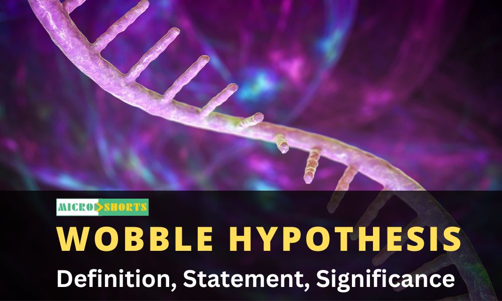 The Wobble Hypothesis: Definition, Statement, Significance