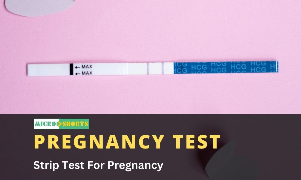 Strip Test For Pregnancy