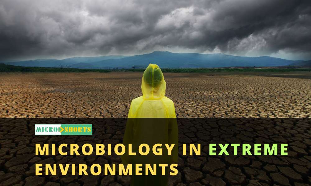 Microbiology In Extreme Environments (Types and Examples)