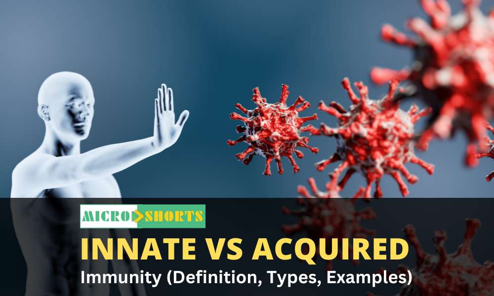 Innate vs. Acquired Immunity