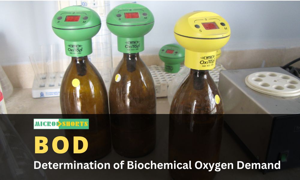 Determination of Biochemical Oxygen Demand (BOD)