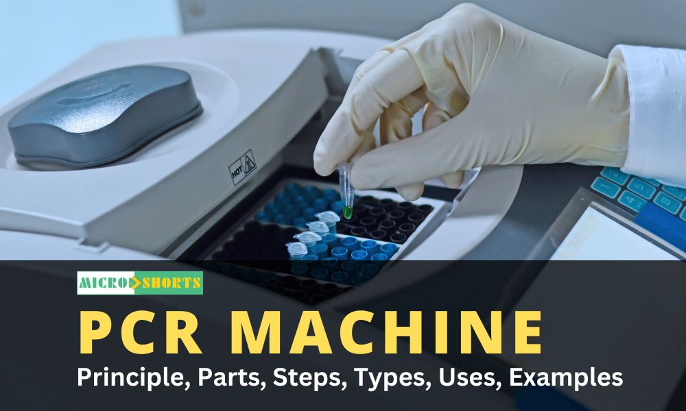 PCR Machine- Principle, Parts, Steps, Types, Uses, Examples