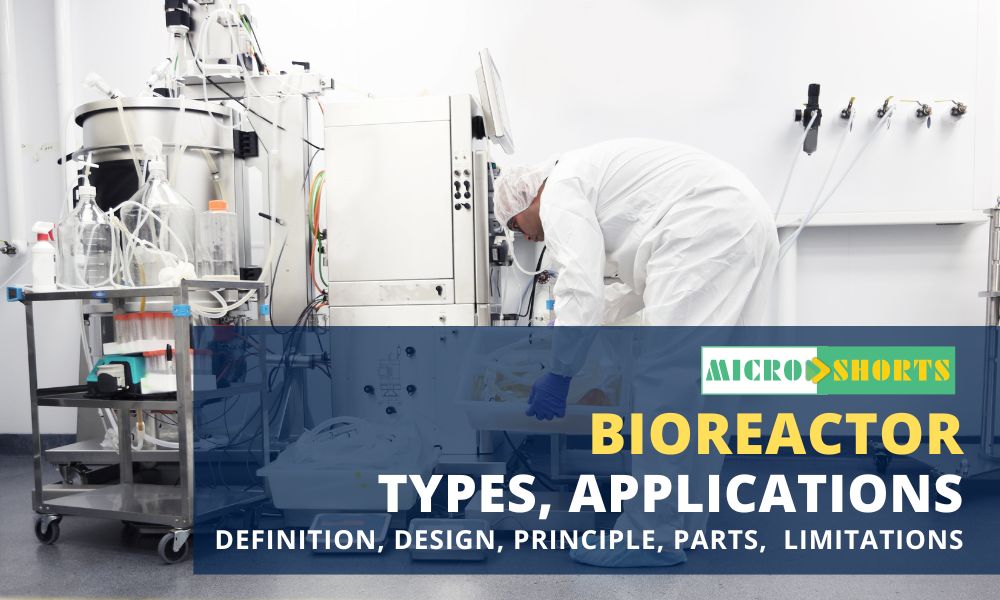 Bioreactor- Definition, Design, Principle, Parts, Types, Applications, Limitations