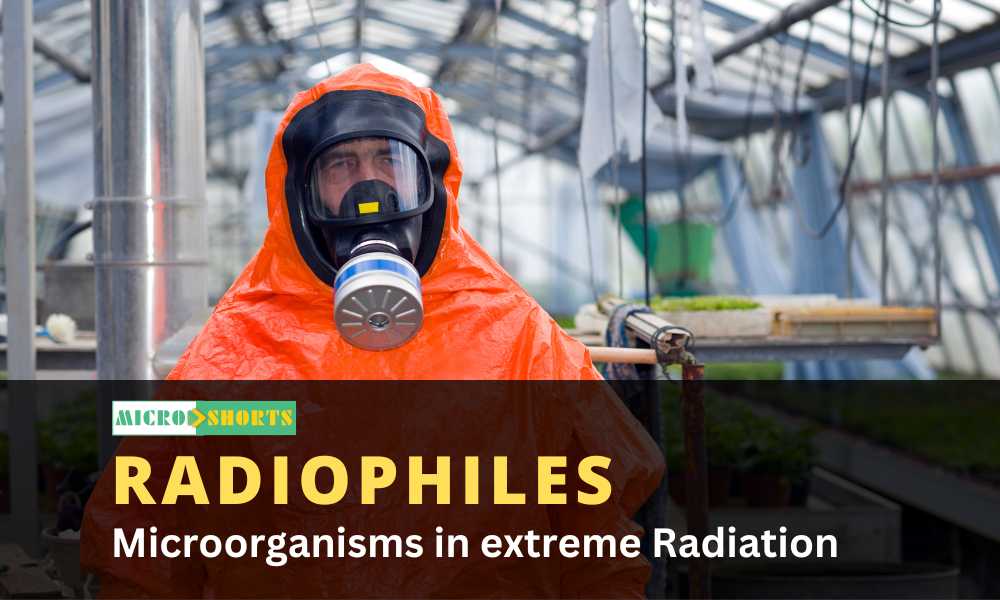 Microorganisms in extreme Radiation (Radiophiles)