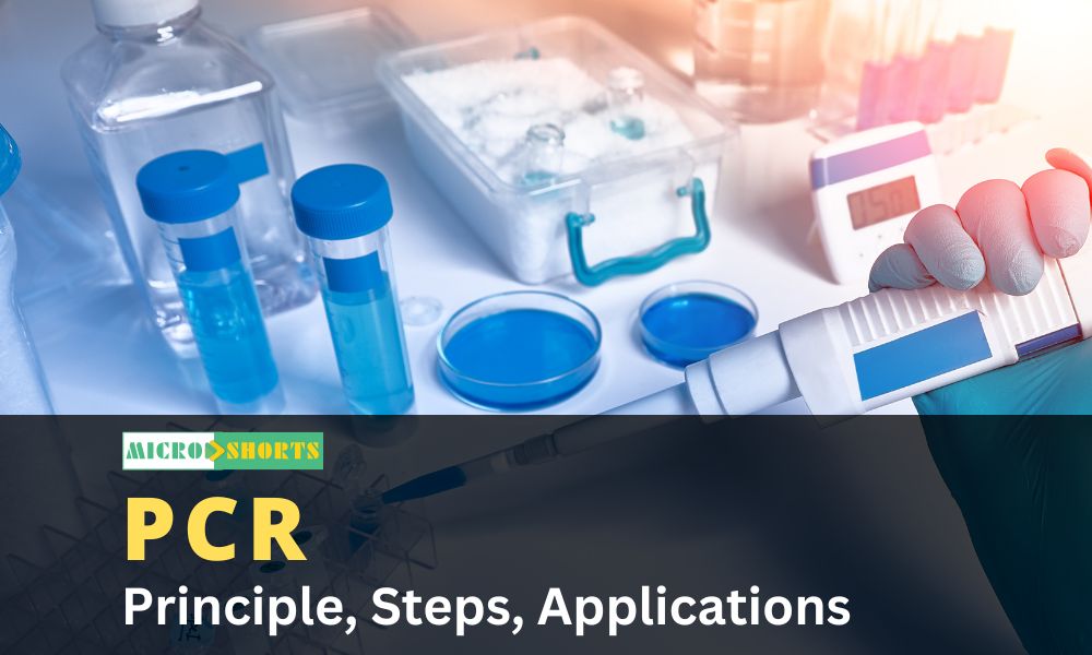Polymerase Chain Reaction (PCR)- Principle, Steps, Applications