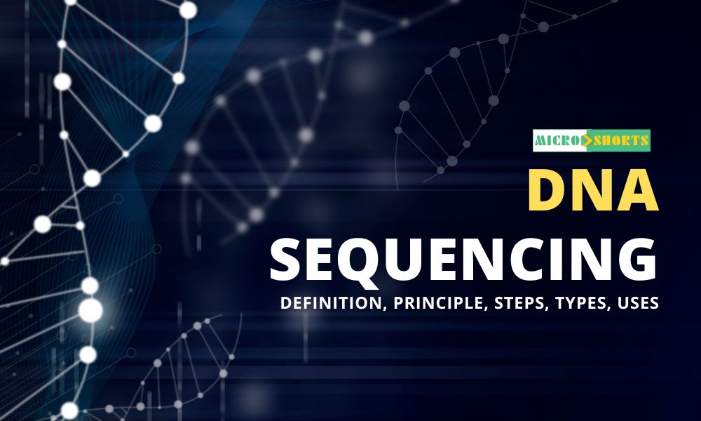 DNA Sequencing- Definition, Principle, Steps, Types, Uses
