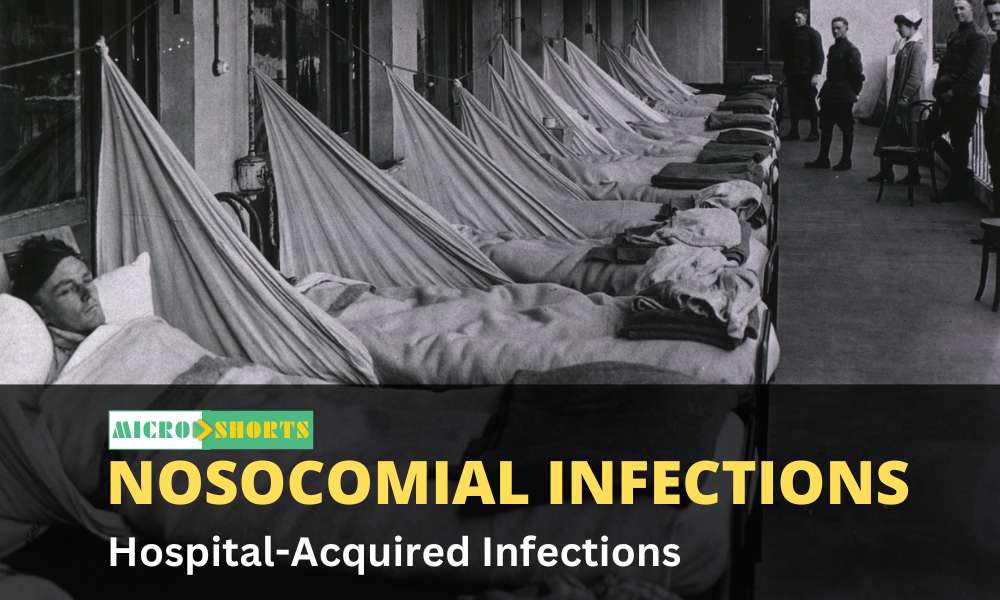 Nosocomial Infections (Hospital-Acquired Infections)