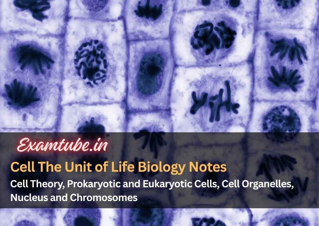 Cell The Unit of Life Biology Notes - Cell Theory, Prokaryotic and Eukaryotic Cells, Cell Organelles, Nucleus and Chromosomes