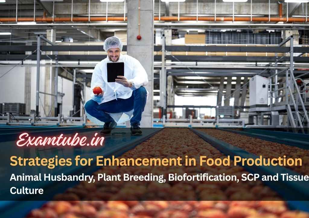 Strategies for Enhancement in Food Production Biology Notes - Animal Husbandry, Plant Breeding, Biofortification, SCP and Tissue Culture