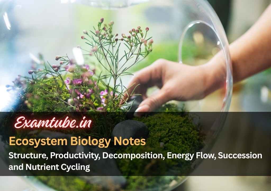 Ecosystem Biology Notes - Structure, Productivity, Decomposition, Energy Flow, Succession and Nutrient Cycling