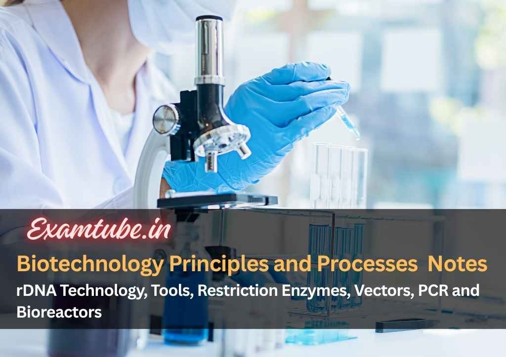 Biotechnology Principles and Processes Biology Notes - rDNA Technology, Tools, Restriction Enzymes, Vectors, PCR and Bioreactors