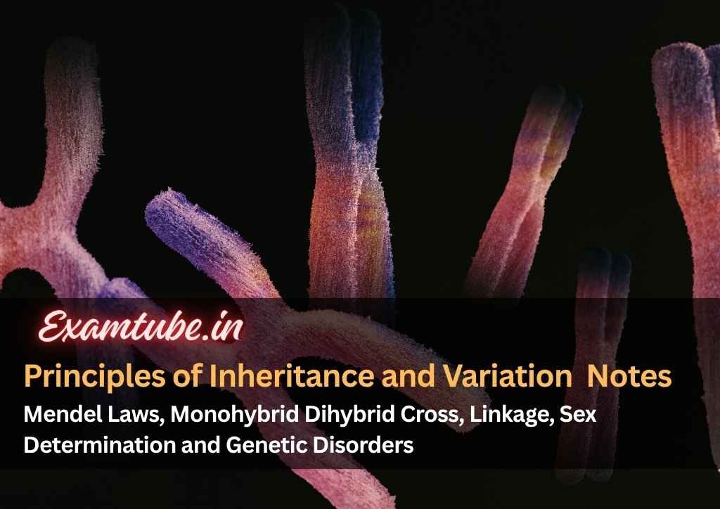Principles of Inheritance and Variation Biology Notes - Mendel Laws, Monohybrid Dihybrid Cross, Linkage, Sex Determination and Genetic Disorders