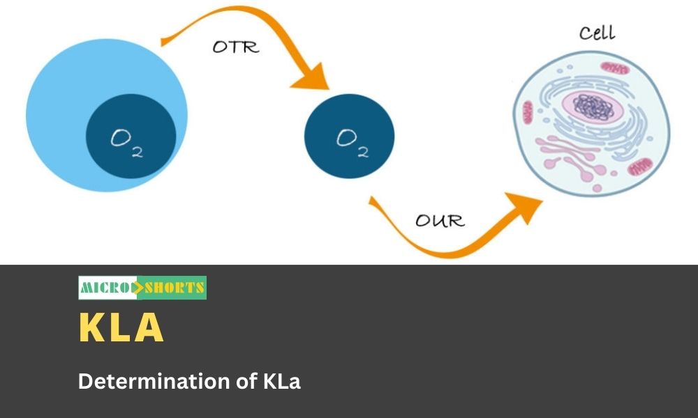 Determination of KLa