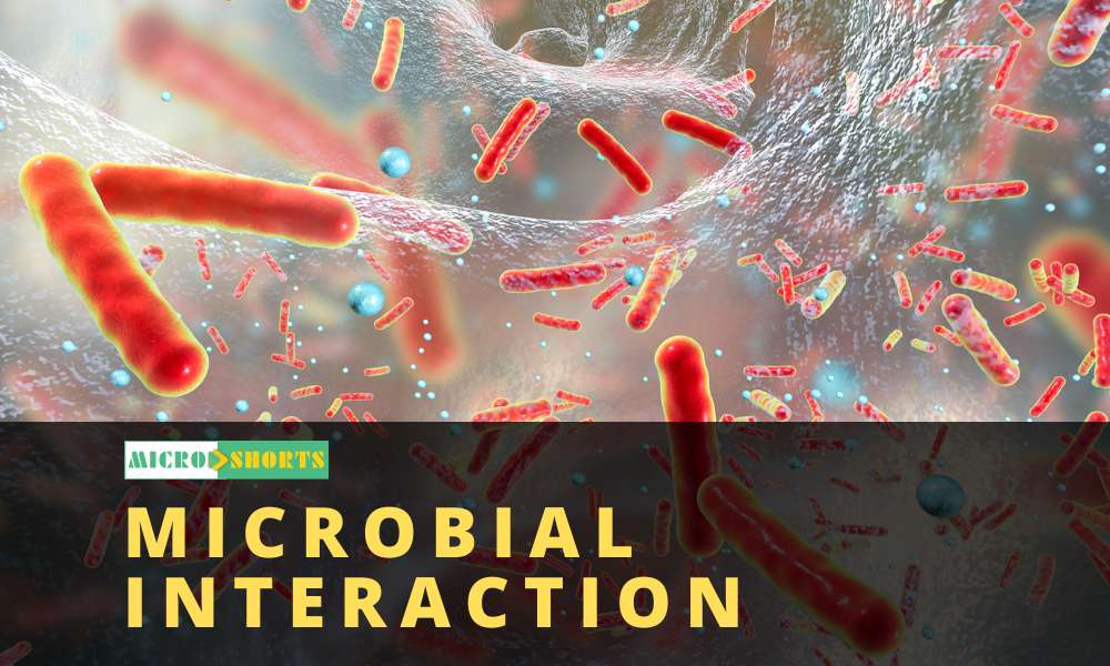 Microbial interaction and its types with examples