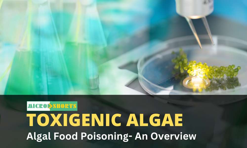 Toxigenic Algae And Algal Food Poisoning- An Overview