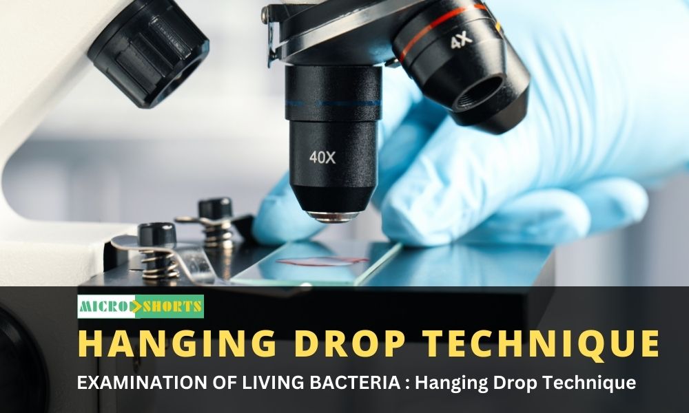 EXAMINATION OF LIVING BACTERIA : Hanging Drop Technique