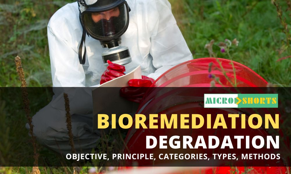 Bioremediation- Objective, Principle, Categories, Types, Methods, Applications