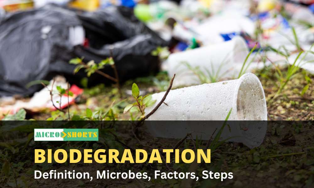 Biodegradation- Definition, Microbes, Factors, Steps