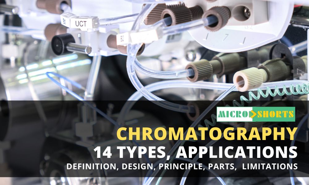 Types of Chromatography (Definition, Principle, Steps, Uses)