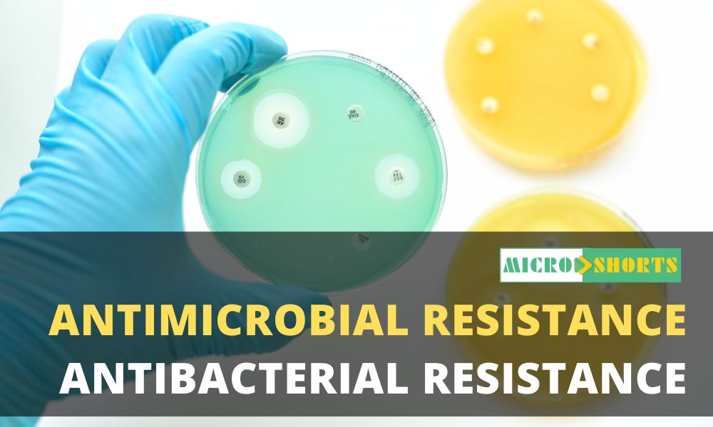 Antimicrobial resistance (AMR) and Antibacterial Resistance (ABR)