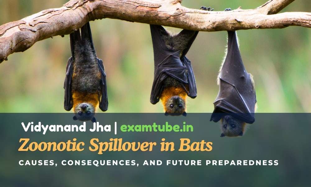 Zoonotic Spillover in Bats: Causes, Consequences, and Future Preparedness