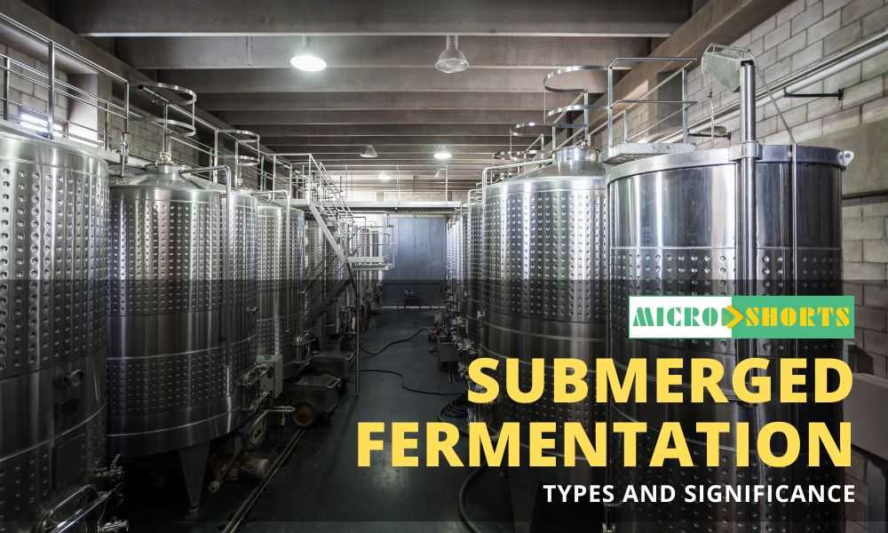 Submerged Fermentation