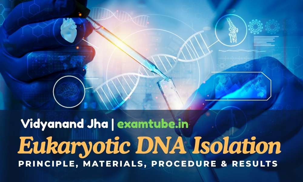 Eukaryotic DNA Isolation: Principle, Materials, Procedure and Results