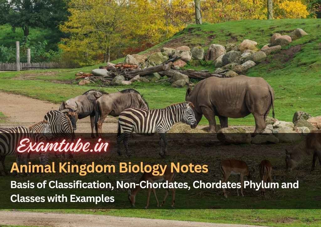 Animal Kingdom Biology Notes - Basis of Classification, Non-Chordates, Chordates Phylum and Classes with Examples